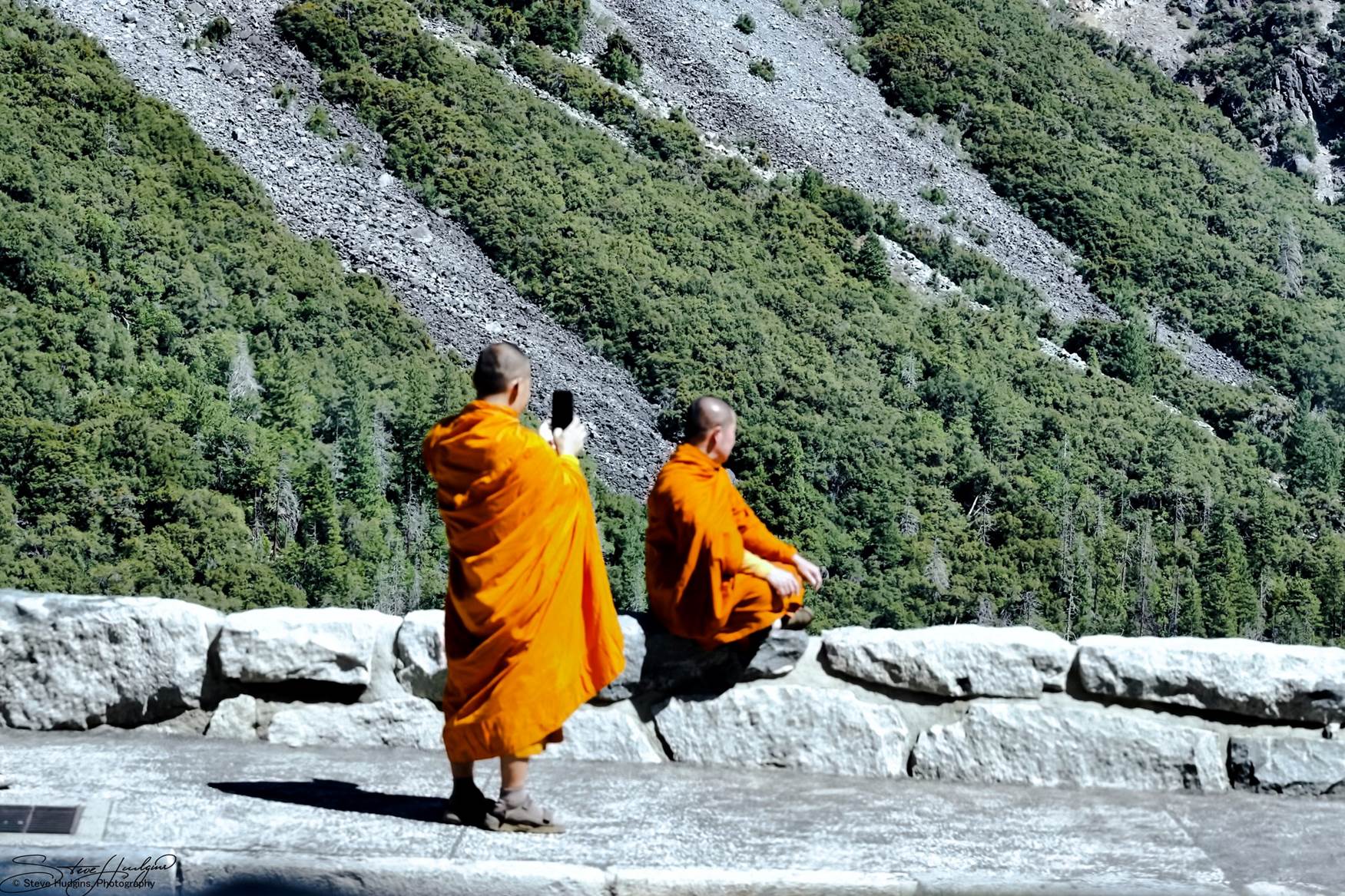 Monks and nature