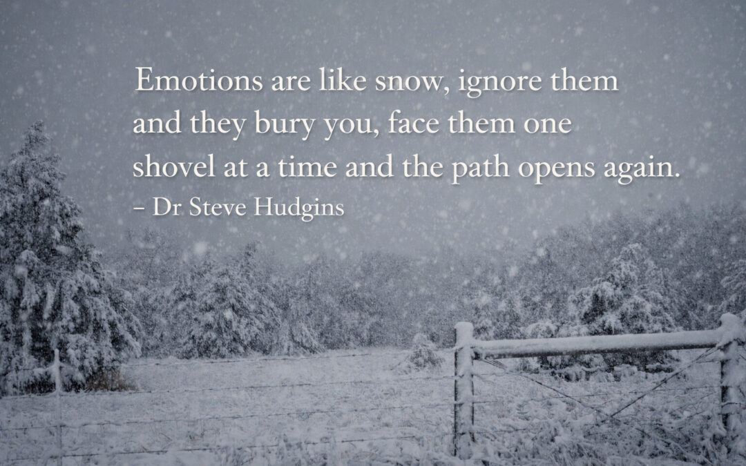 Blog - What Shoveling Snow Taught Me About Emotions We Avoid
